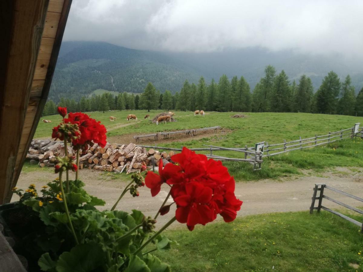 Hotel Hiasl Zirbenhuette Hochrindl Esterno foto